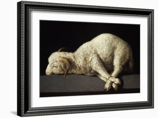 Agnus Dei, 1635-1640-Francisco de Zurbarán-Framed Giclee Print