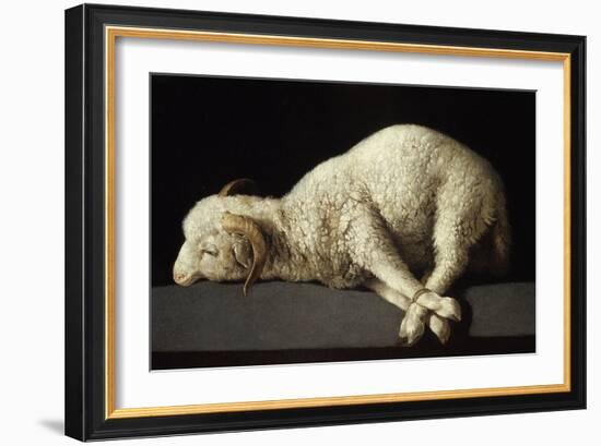 Agnus Dei, 1635-1640-Francisco de Zurbarán-Framed Giclee Print