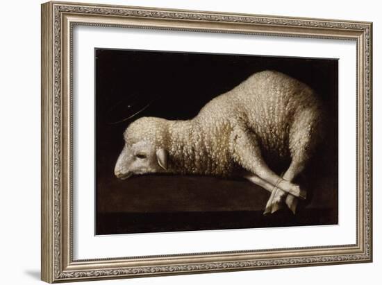 Agnus Dei, C.1635-40-Francisco de Zurbaran-Framed Giclee Print