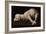 Agnus Dei, C.1635-40-Francisco de Zurbaran-Framed Giclee Print