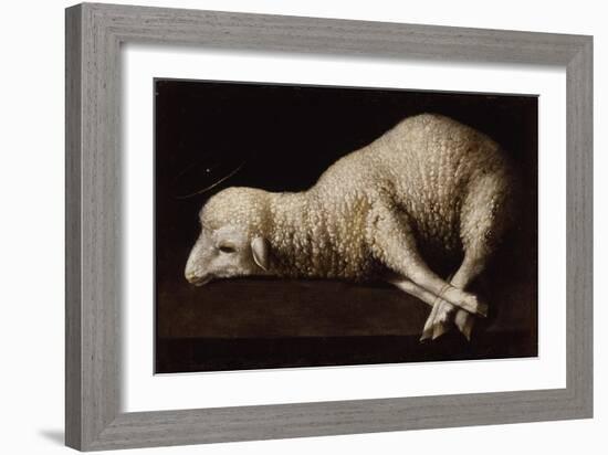 Agnus Dei, C.1635-40-Francisco de Zurbaran-Framed Giclee Print