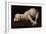 Agnus Dei, C.1635-40-Francisco de Zurbaran-Framed Giclee Print