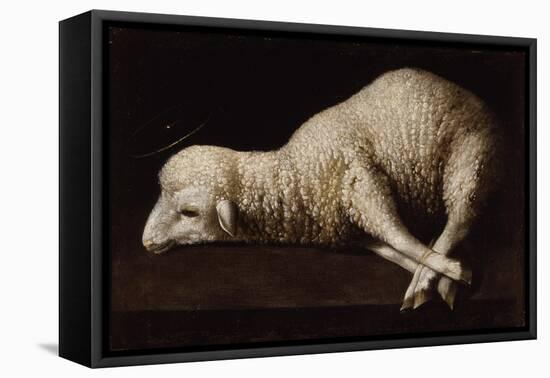 Agnus Dei, C.1635-40-Francisco de Zurbaran-Framed Premier Image Canvas