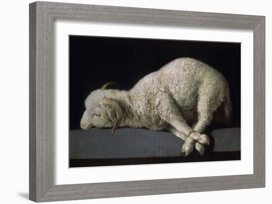 Agnus Dei, Ca.1635-40-Francisco de Zurbarán-Framed Giclee Print