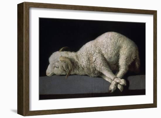 Agnus Dei, Ca.1635-40-Francisco de Zurbarán-Framed Giclee Print