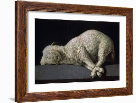 Agnus Dei, Ca.1635-40-Francisco de Zurbarán-Framed Giclee Print