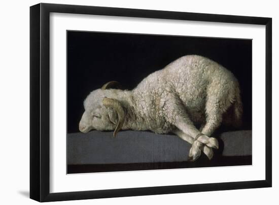 Agnus Dei, Ca.1635-40-Francisco de Zurbarán-Framed Giclee Print