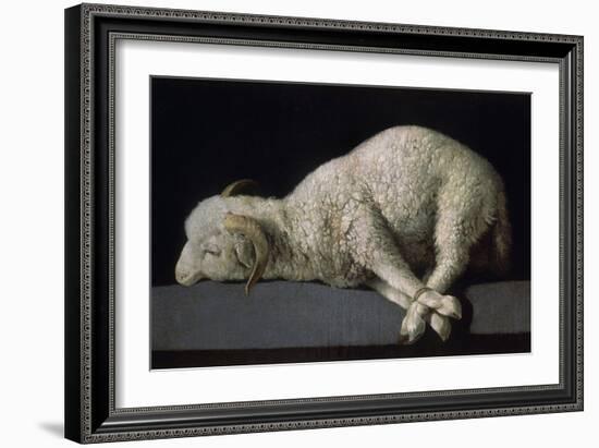 Agnus Dei, Ca.1635-40-Francisco de Zurbarán-Framed Giclee Print