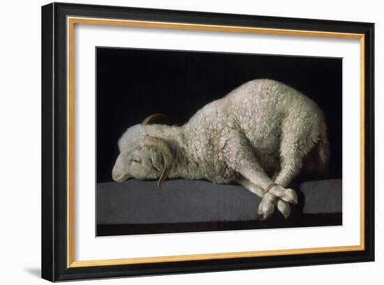 Agnus Dei, Ca.1635-40-Francisco de Zurbarán-Framed Giclee Print