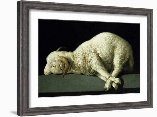 Agnus Dei, circa 1635-40-Francisco de Zurbarán-Framed Giclee Print