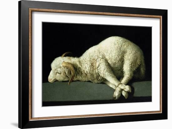 Agnus Dei, circa 1635-40-Francisco de Zurbarán-Framed Giclee Print