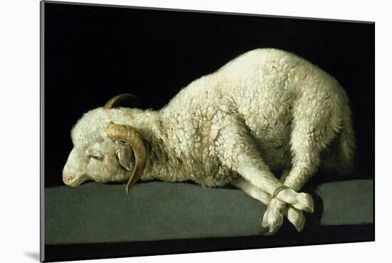 Agnus Dei, circa 1635-40-Francisco de Zurbarán-Mounted Giclee Print