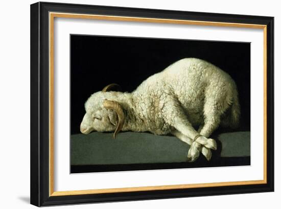 Agnus Dei, circa 1635-40-Francisco de Zurbarán-Framed Giclee Print