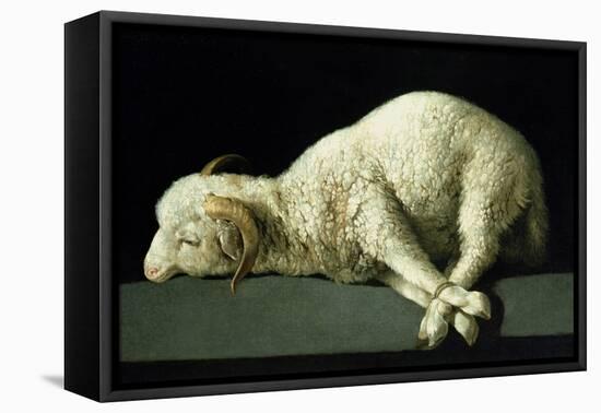 Agnus Dei, circa 1635-40-Francisco de Zurbarán-Framed Premier Image Canvas