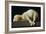 Agnus Dei (Lamb of God)-Francisco de Zurbarán-Framed Giclee Print