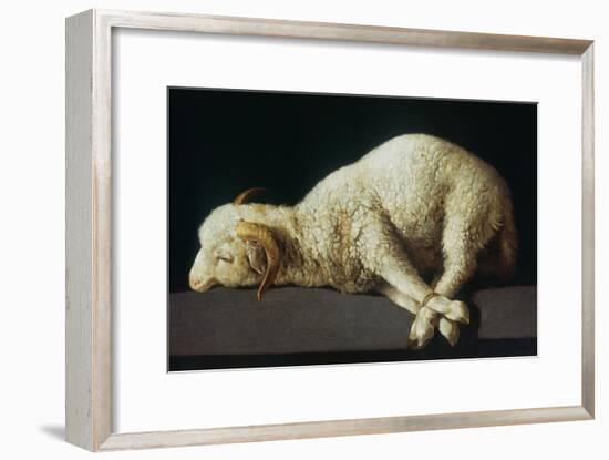 Agnus Dei (Lamb of God)-Francisco de Zurbarán-Framed Giclee Print