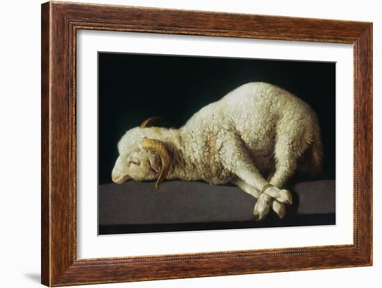 Agnus Dei (Lamb of God)-Francisco de Zurbarán-Framed Giclee Print