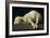 Agnus Dei (Lamb of God)-Francisco de Zurbarán-Framed Giclee Print