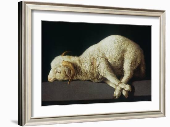 Agnus Dei (Lamb of God)-Francisco de Zurbarán-Framed Giclee Print