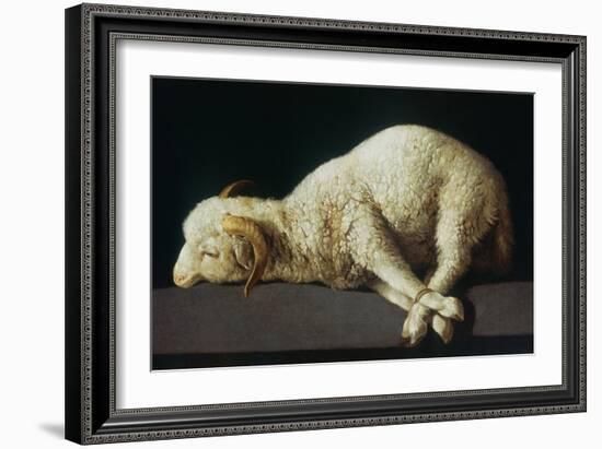 Agnus Dei (Lamb of God)-Francisco de Zurbarán-Framed Giclee Print