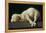 Agnus Dei (Lamb of God)-Francisco de Zurbarán-Framed Premier Image Canvas