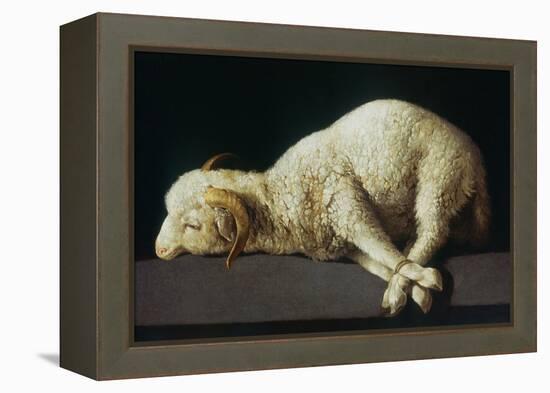 Agnus Dei (Lamb of God)-Francisco de Zurbarán-Framed Premier Image Canvas