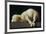 Agnus Dei (Lamb of God)-Francisco de Zurbarán-Framed Giclee Print