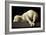 Agnus Dei (The Lamb of God), 1635-1640-Francisco de Zurbaran-Framed Giclee Print