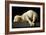 Agnus Dei (The Lamb of God), 1635-1640-Francisco de Zurbaran-Framed Giclee Print