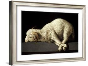 Agnus Dei (The Lamb of God), 1635-1640-Francisco de Zurbaran-Framed Giclee Print