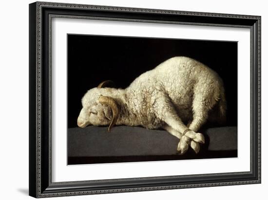 Agnus Dei (The Lamb of God), 1635-1640-Francisco de Zurbaran-Framed Giclee Print