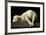 Agnus Dei (The Lamb of God), 1635-1640-Francisco de Zurbaran-Framed Giclee Print