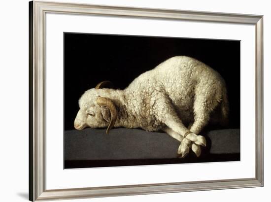 Agnus Dei (The Lamb of God), 1635-1640-Francisco de Zurbaran-Framed Giclee Print