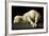 Agnus Dei (The Lamb of God), 1635-1640-Francisco de Zurbaran-Framed Giclee Print