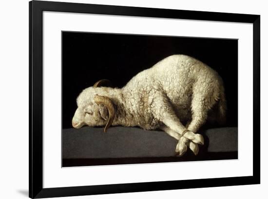 Agnus Dei (The Lamb of God), 1635-1640-Francisco de Zurbaran-Framed Giclee Print