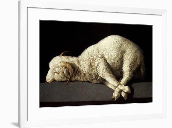 Agnus Dei (The Lamb of God), 1635-1640-Francisco de Zurbaran-Framed Giclee Print