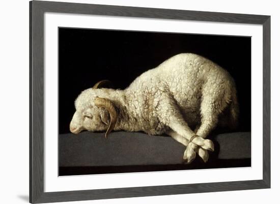 Agnus Dei (The Lamb of God), 1635-1640-Francisco de Zurbaran-Framed Giclee Print