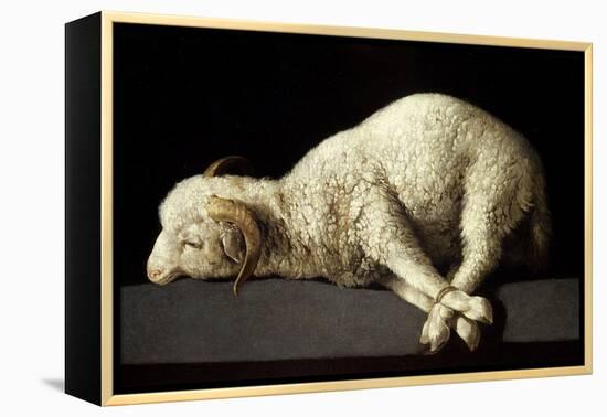 Agnus Dei (The Lamb of God), 1635-1640-Francisco de Zurbaran-Framed Premier Image Canvas