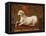 Agnus Dei with Banner of the Order of St. John-null-Framed Premier Image Canvas