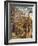 Agony in Garden-Andrea Mantegna-Framed Giclee Print