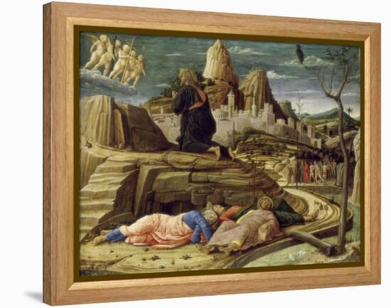 Agony in the Garden-Andrea Mantegna-Framed Premier Image Canvas