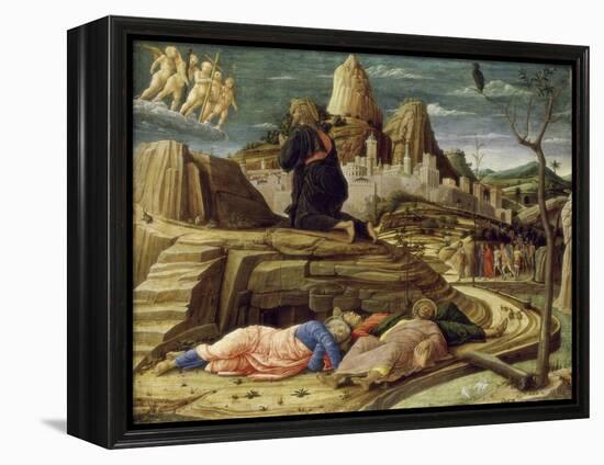 Agony in the Garden-Andrea Mantegna-Framed Premier Image Canvas