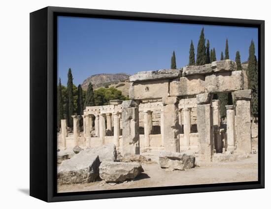 Agora, Archaeological Site of Hierapolis, Pamukkale, Anatolia, Turkey Minor, Eurasia-Philip Craven-Framed Premier Image Canvas