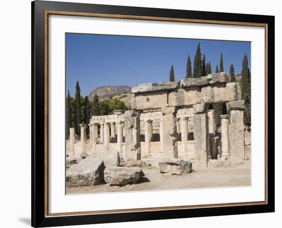 Agora, Archaeological Site of Hierapolis, Pamukkale, Anatolia, Turkey Minor, Eurasia-Philip Craven-Framed Photographic Print