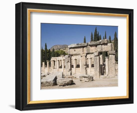 Agora, Archaeological Site of Hierapolis, Pamukkale, Anatolia, Turkey Minor, Eurasia-Philip Craven-Framed Photographic Print