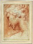 Head of a Young Woman Looking Down over Her Right Shoulder-Agostino Carracci-Giclee Print