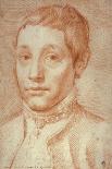 Portrait of His Son, Antonio Carracci, 1592-95-Agostino Carracci-Giclee Print