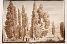 The Villa D'Este, 1833-Agostino Tofanelli-Giclee Print