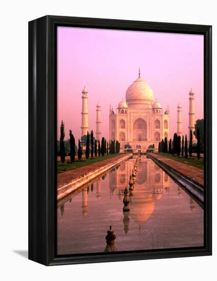 Agra, India, Wonder of the Taj Mahal-Bill Bachmann-Framed Premier Image Canvas