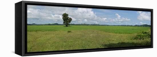 Agricultural field near Mrauk U, Rakhine State, Myanmar-null-Framed Premier Image Canvas